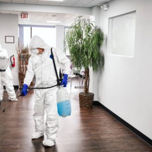 two people in protective workwear cleaning and disinfecting offices.