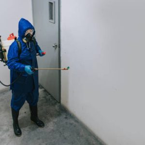 istockphoto 1220342368 612x612