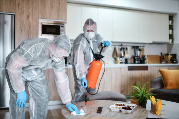 two male medical workers in protective suits sanitizing table in home kitchen