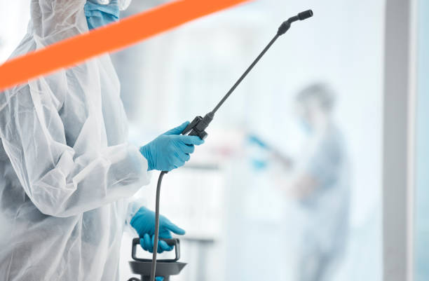 istockphoto 1447787537 612x612