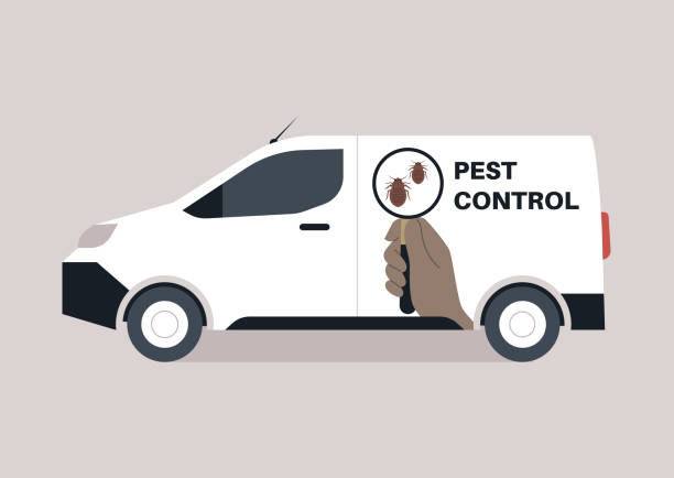 istockphoto 1873558929 612x612