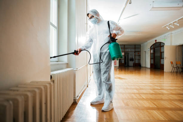 exterminator in work spraying pesticide or insecticide with sprayer