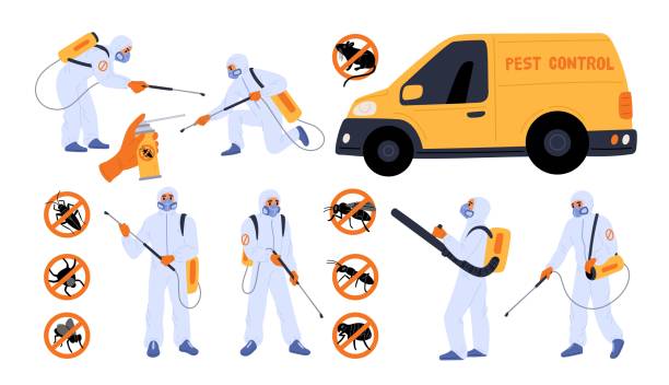 istockphoto 2177082181 612x612