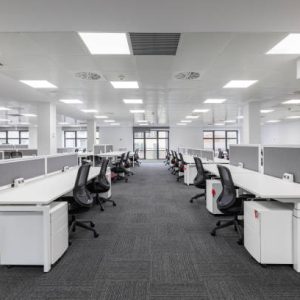 office building pest management